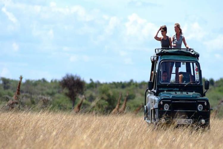 Safari tour
